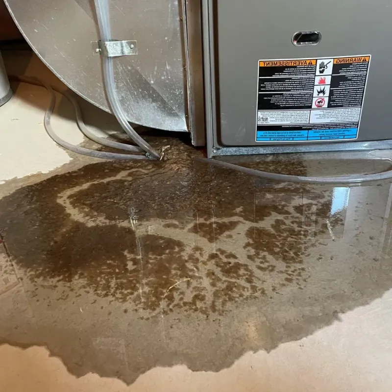 Pipe Burst and Leak Restoration in Torrington, WY