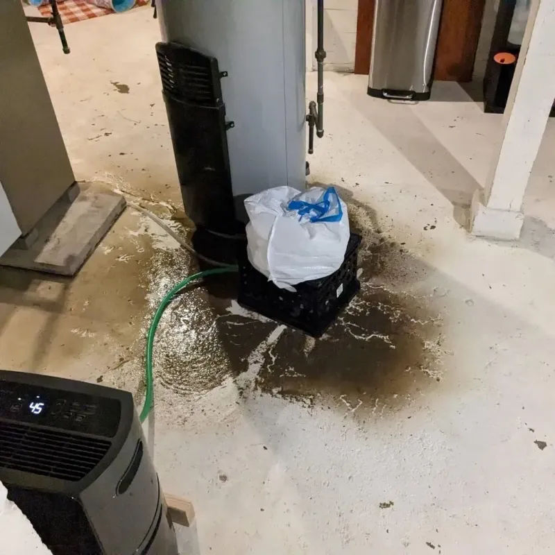Sewage Backup Cleanup Service in Torrington, WY